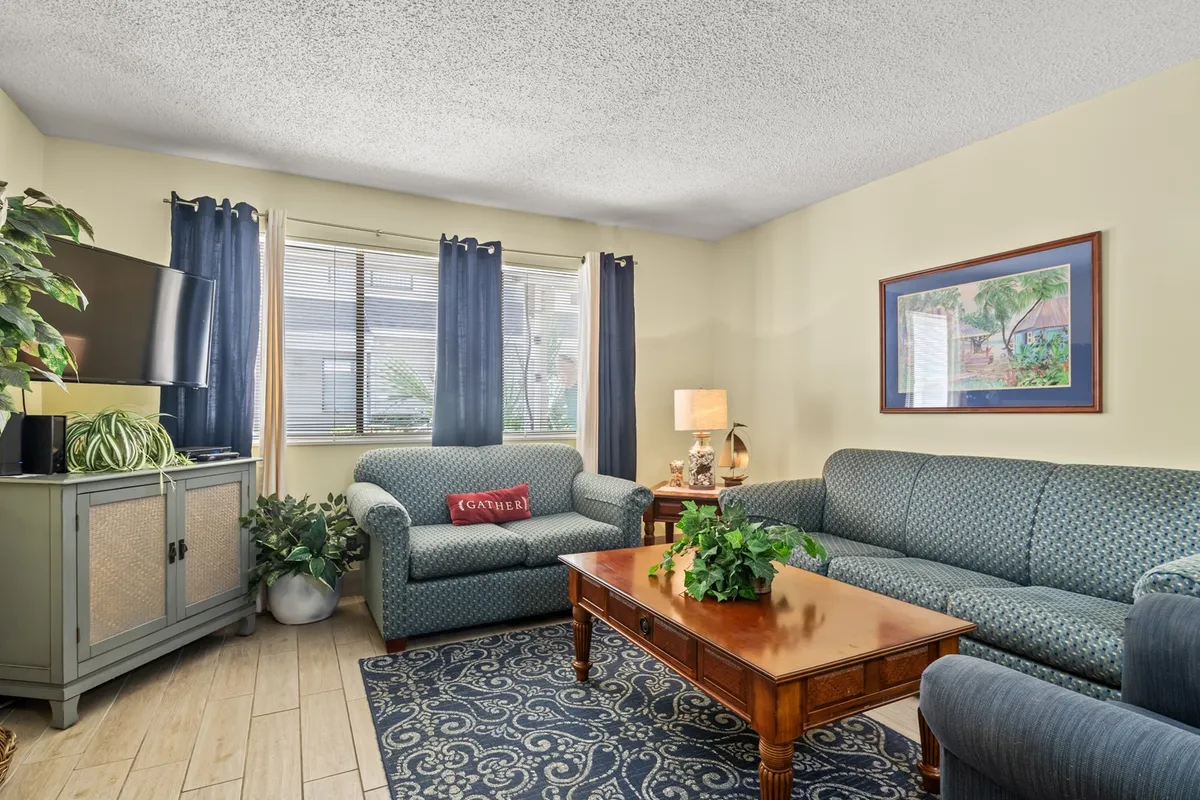 A cozy living room scene with a comfortable sofa, a central coffee table, a television, a leafy plant, and a large window letting in ample natural light. The space feels relaxed, ideal for unwinding, reading, or enjoying a movie together.
