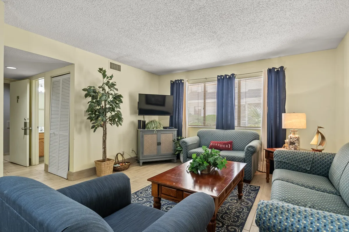 A bright and spacious living room furnished with plush blue sofas, a wooden coffee table, a green plant adding a touch of nature, and a television. The room is filled with natural light, creating a welcoming space for relaxation, socializing, or movie nights.